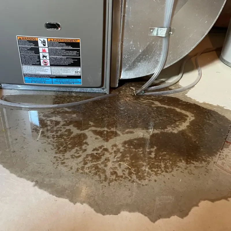 Appliance Leak Cleanup in Hiawatha, IA